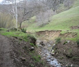 Bear Trap Creek 3